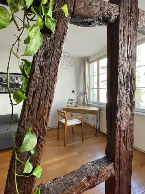 Appartement 2 Chambres Au Coeur De Strasbourg Exteriör bild