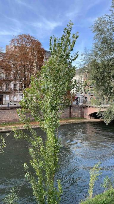 Appartement 2 Chambres Au Coeur De Strasbourg Exteriör bild